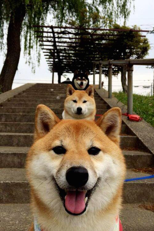 爱游戏娱乐平台-“白色冰原：世界最极端赛段中的速夺瞬间”，白色冰川