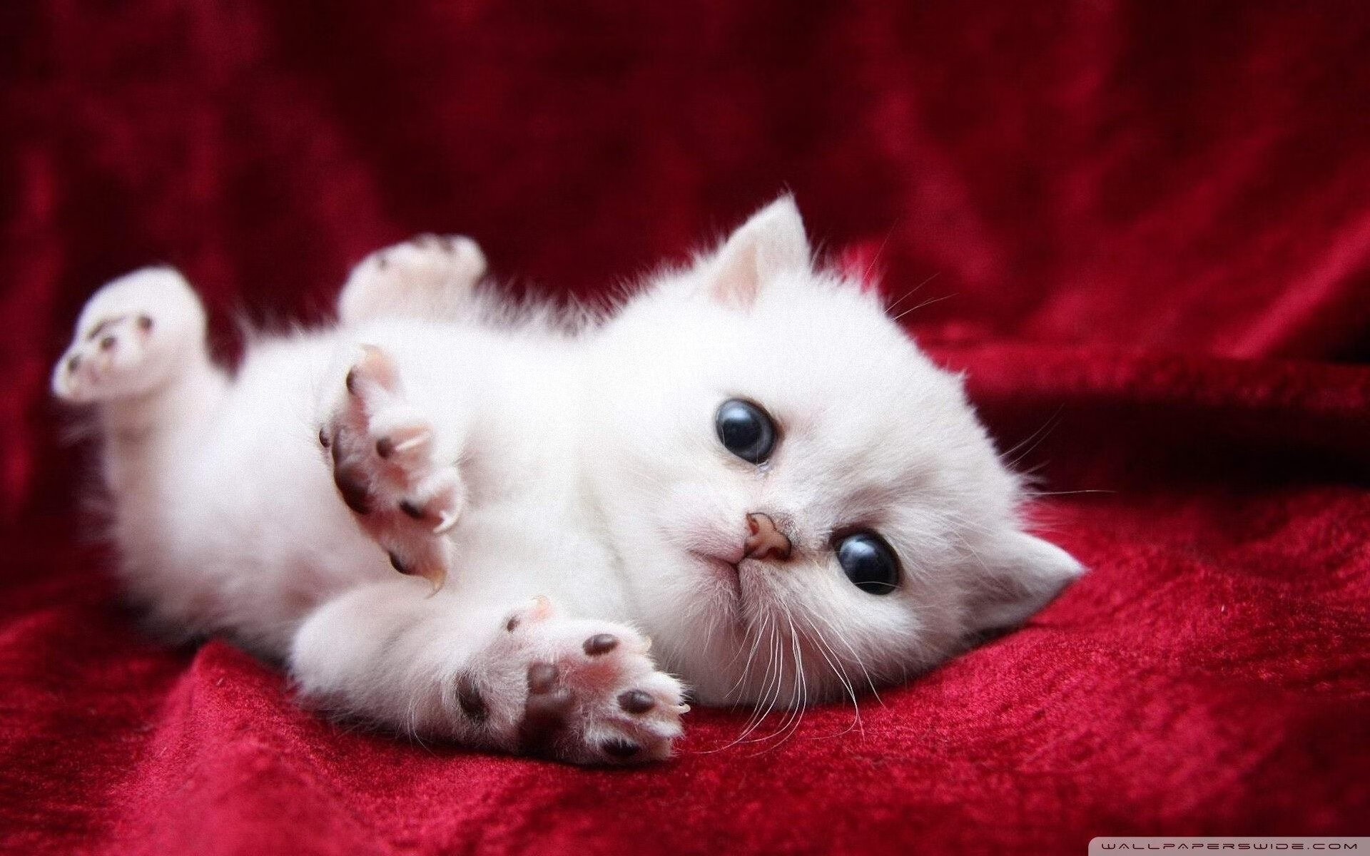 AYX GAME-《王者荣耀夏季赛终极对决，热血战场再燃火焰》，王者荣耀2021kpl夏季赛