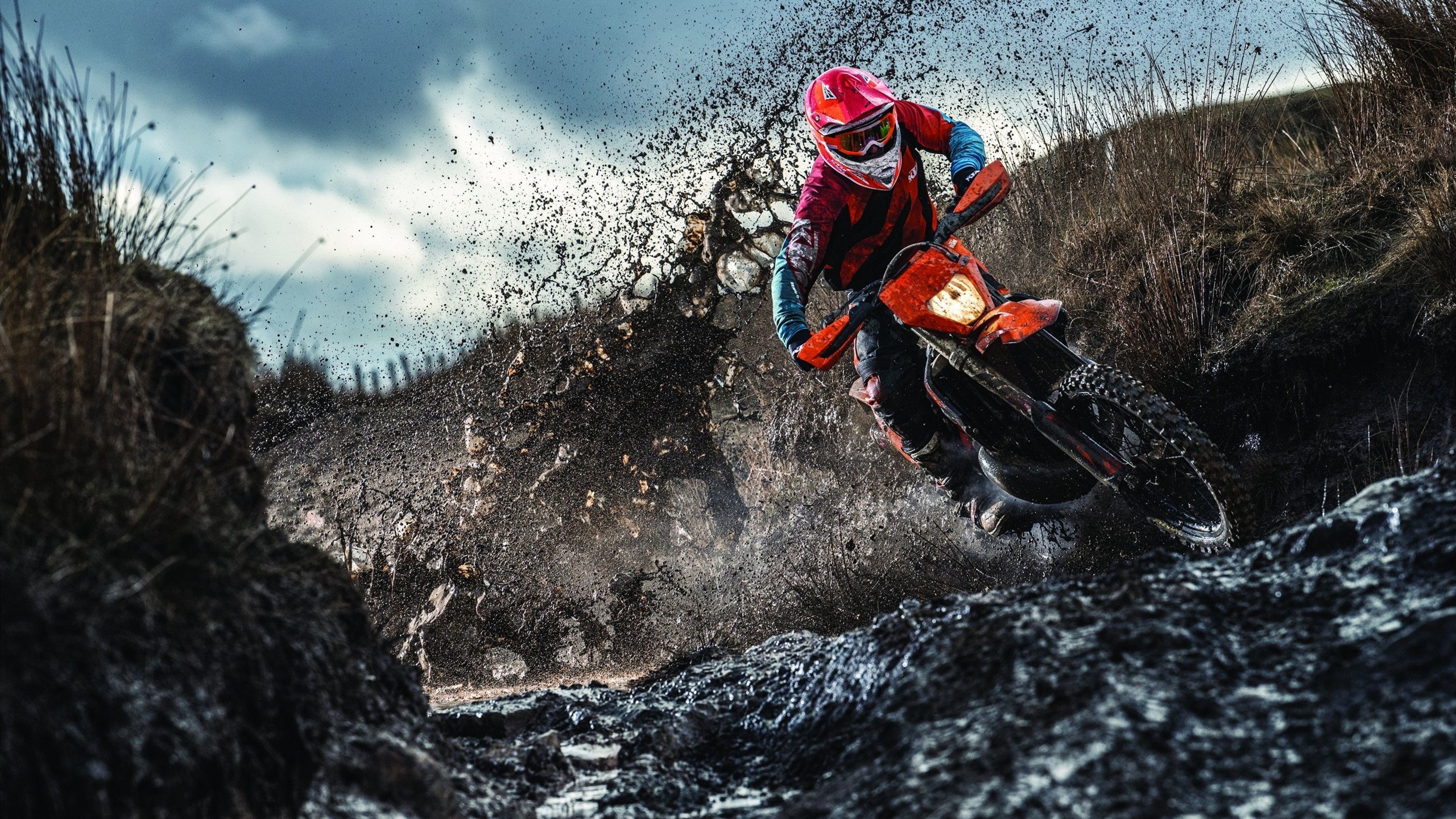 女子排球亚洲杯中国队夺冠，连续第三次称霸，2021年女排亚洲杯