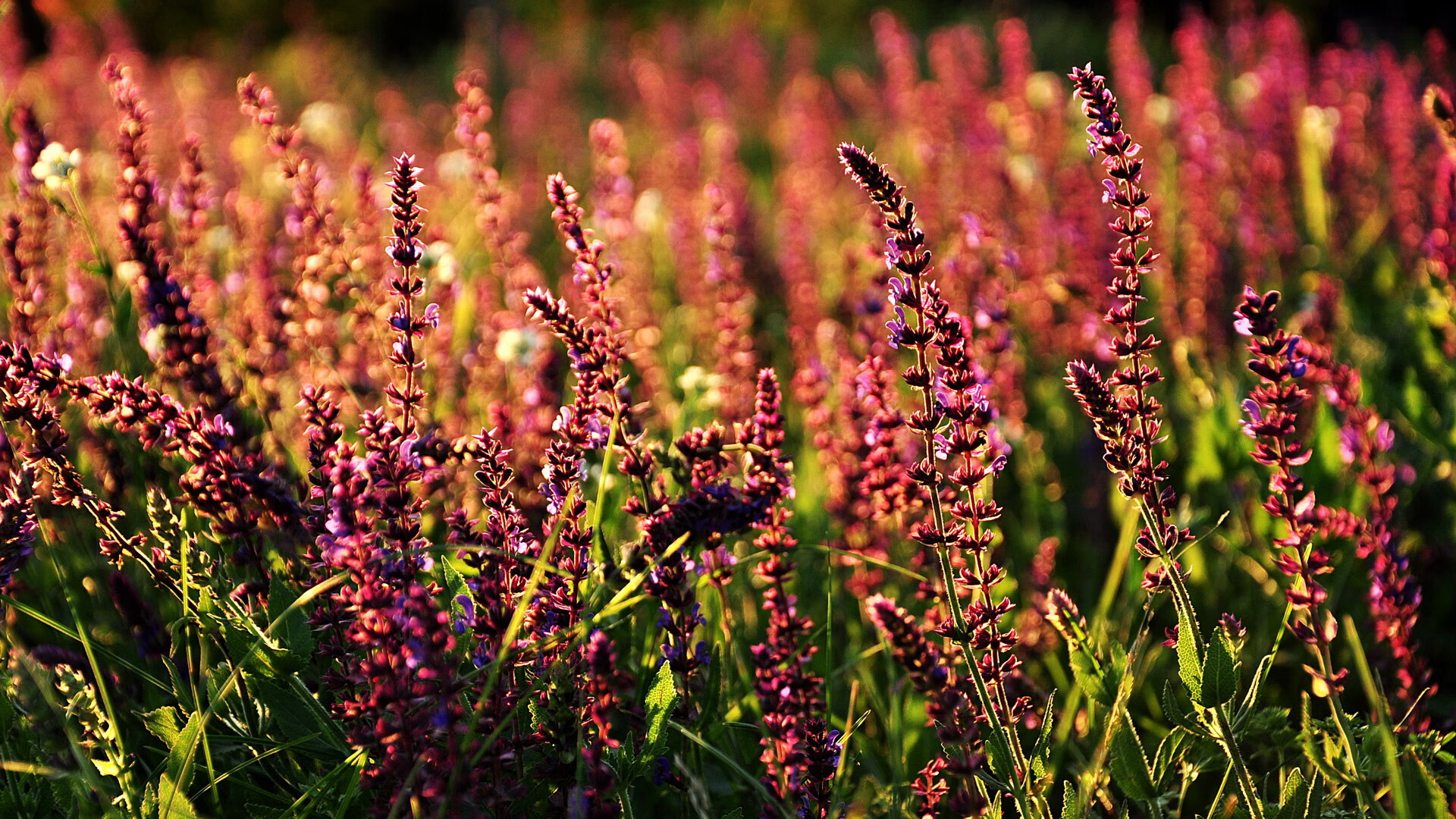爱游戏娱乐平台-毕尔巴鄂竞技后防线坚不可摧，毕尔巴鄂竞技b队