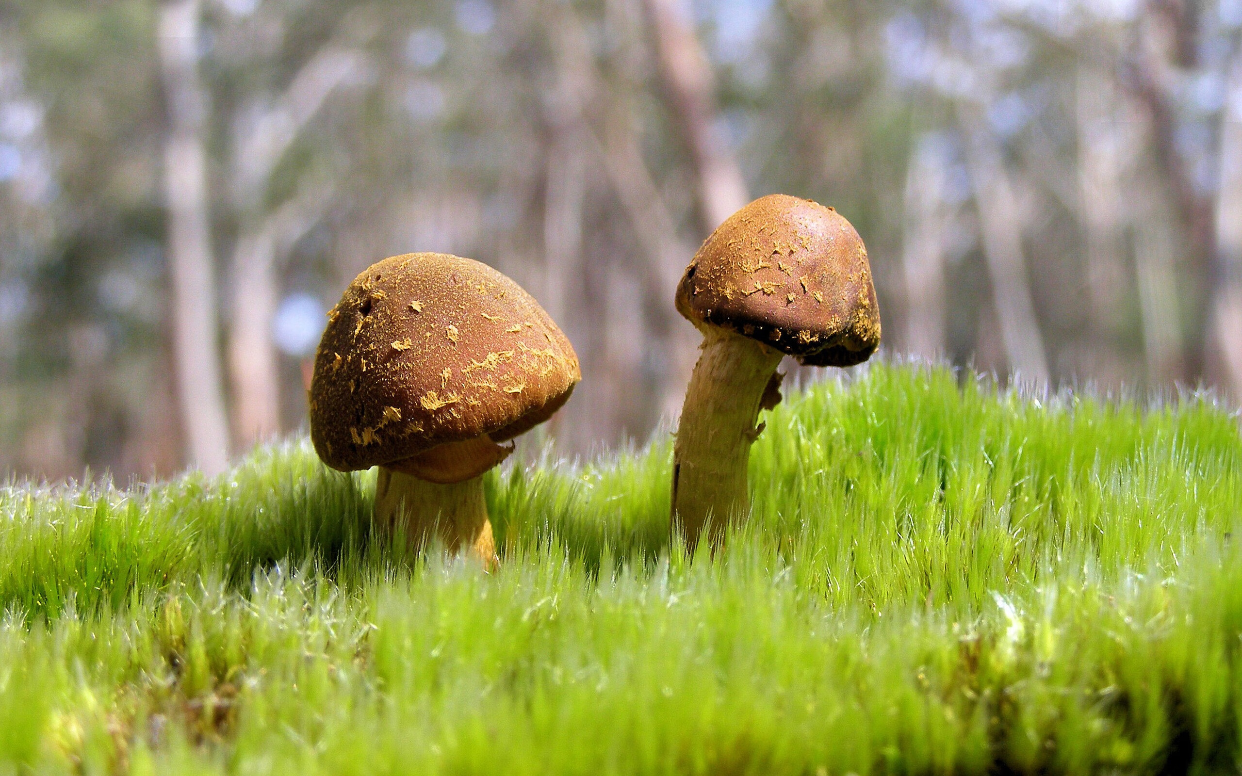 爱游戏官网-球迷自制短视频：最感人、最激励人心的现场瞬间，足球球迷的视频