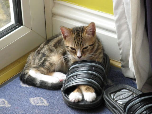 爱游戏体育（AYX）官方APP下载-赛事设奖：奖金池创纪录引关注，赛事奖励怎么描述