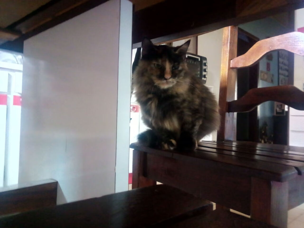 爱游戏电竞官网-青少年篮球训练营开启，提升技能迎战未来国际赛事，青少年篮球培训学校