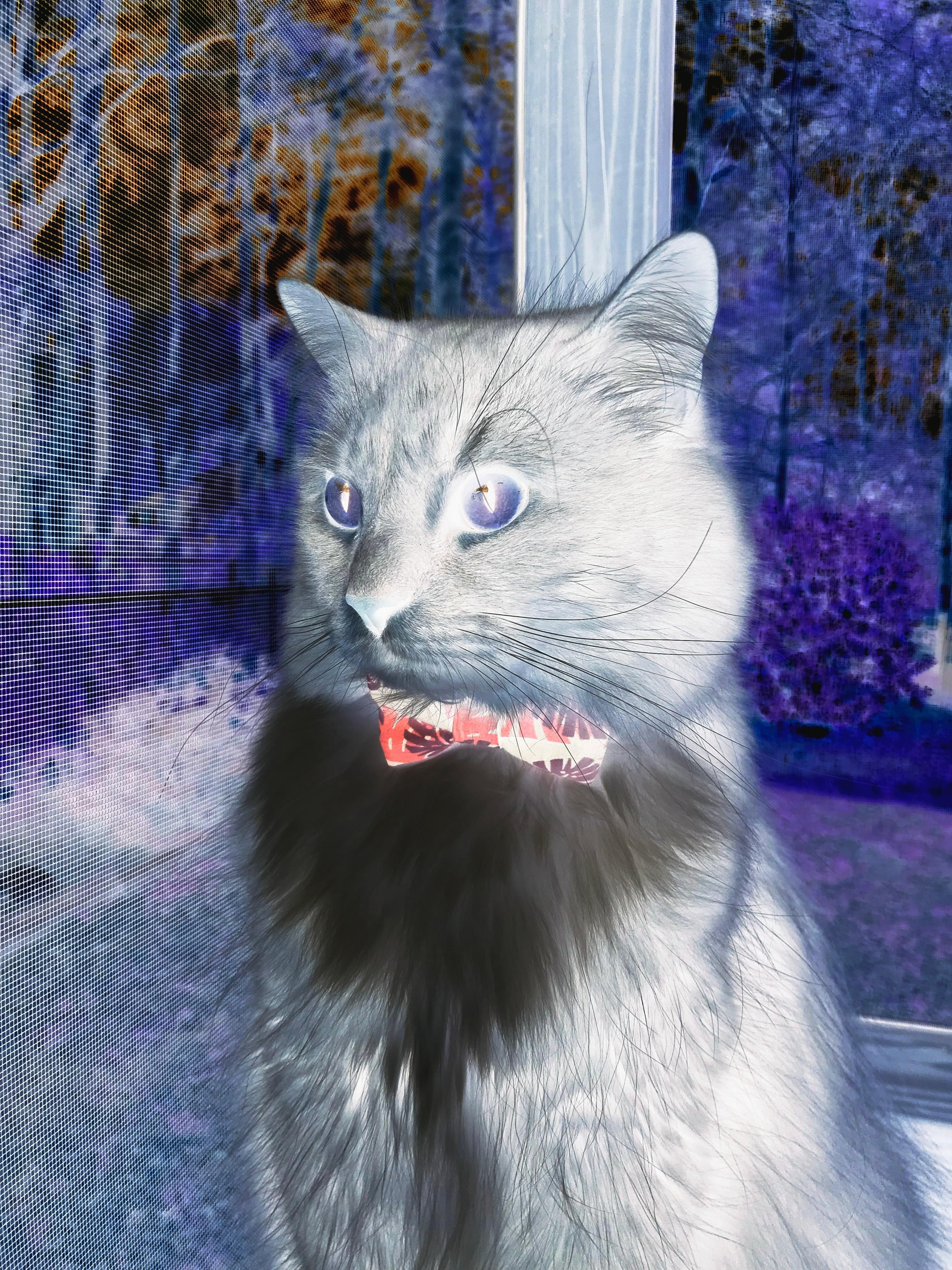 爱游戏app下载-青少足球“名师+名队+名赛”深度融合，促进青训水平再上新台阶