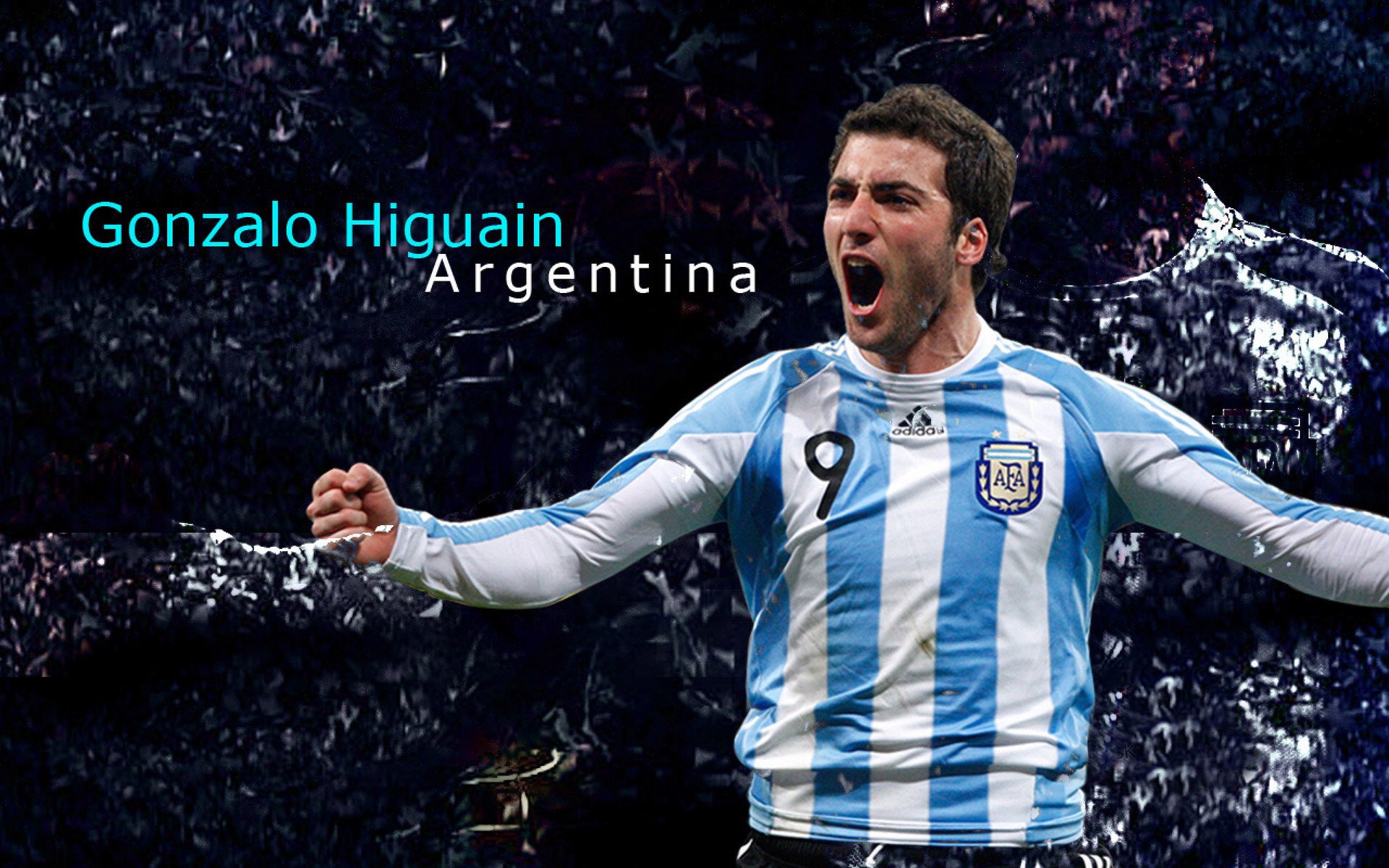 体坛巨星的动人表现:球场上的光芒,球场明星