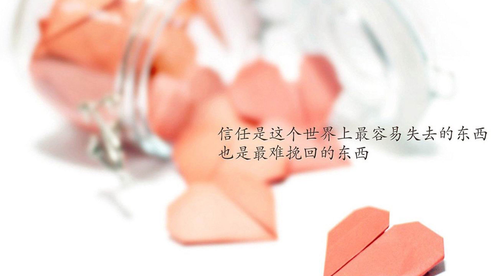 弗拉门戈与帕尔梅拉斯焦点大战,弗拉门戈vs帕尔梅