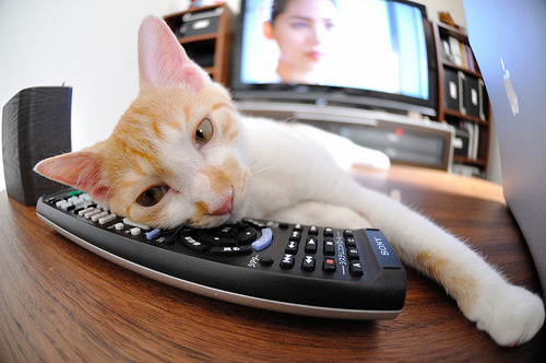 年轻双星闪耀，阿根廷再获关键胜利，阿根廷cintia