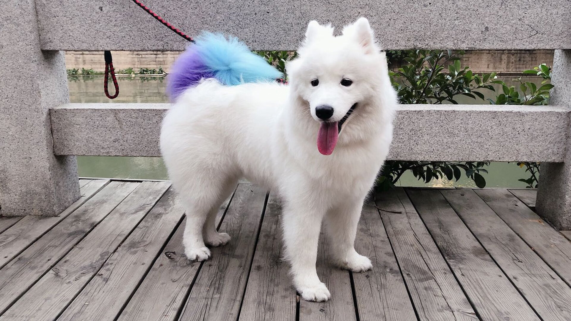 摩洛哥队备战世界杯,目标出线,摩洛哥足球世界杯