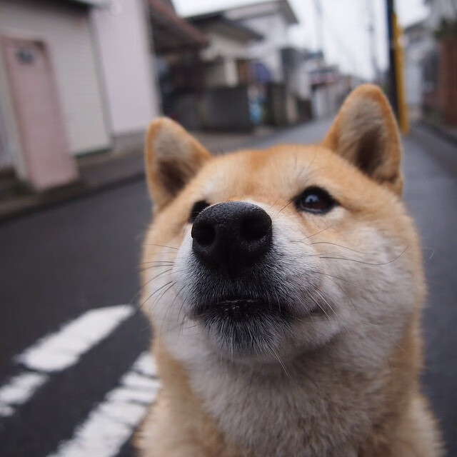 欧文赫夫因制胜球再次成为球队英雄,欧文赫夫因制胜球再次成为球队英雄