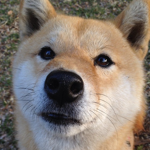 湖人队内部采访曝光 球员日常生活揭秘,湖人队描述