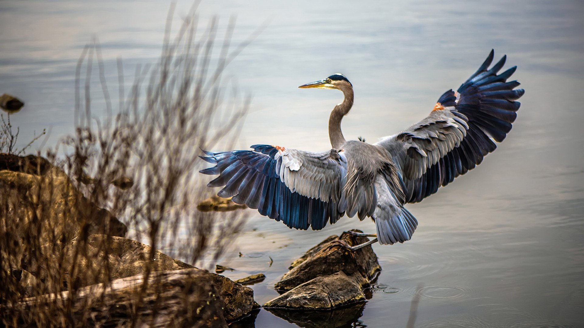 瑞士篮球界现代化,引入新科技提升比赛体验,瑞士篮球世界排名