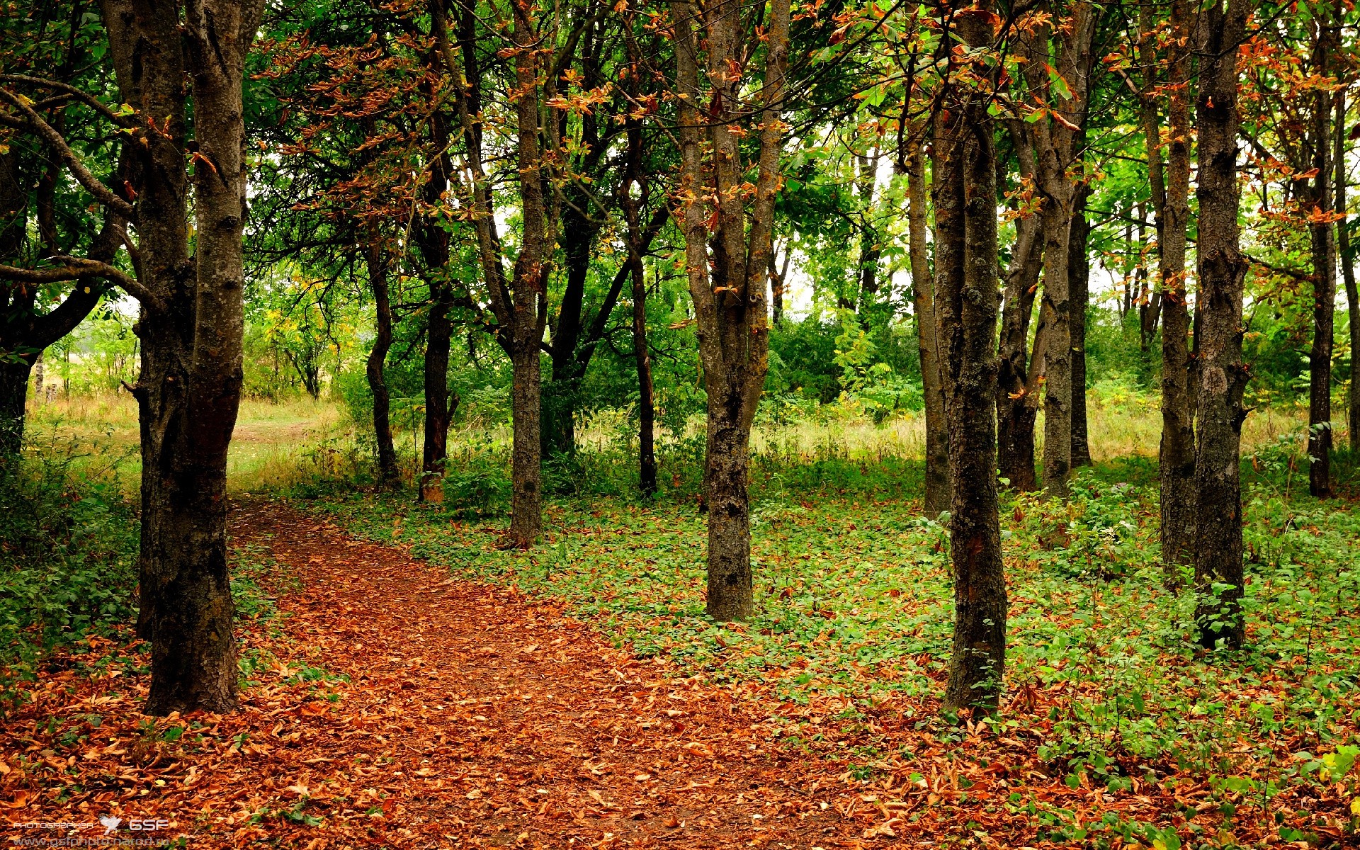 爱游戏中国官方网站平台-皇家马德里风头正劲，准备迎接马赛挑战，皇家马德里是什么比赛