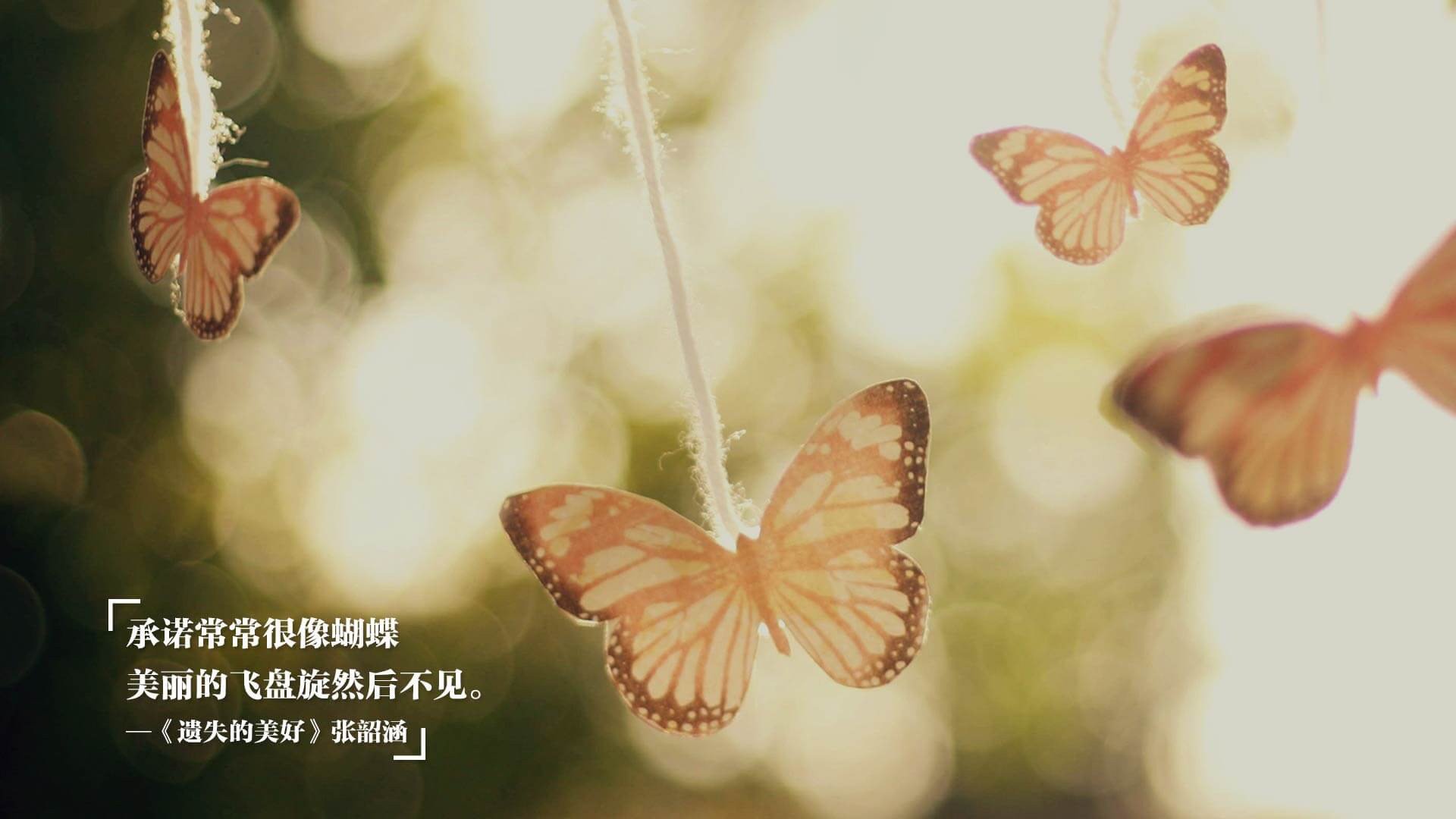 爱游戏体育-荷兰风云球员转会西甲，开创新篇章，荷兰经典阵容