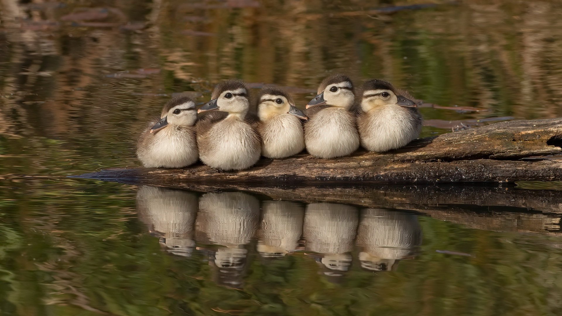 爱游戏平台-葡萄牙男足在欧洲预选赛中失利，未能晋级巴黎奥运会