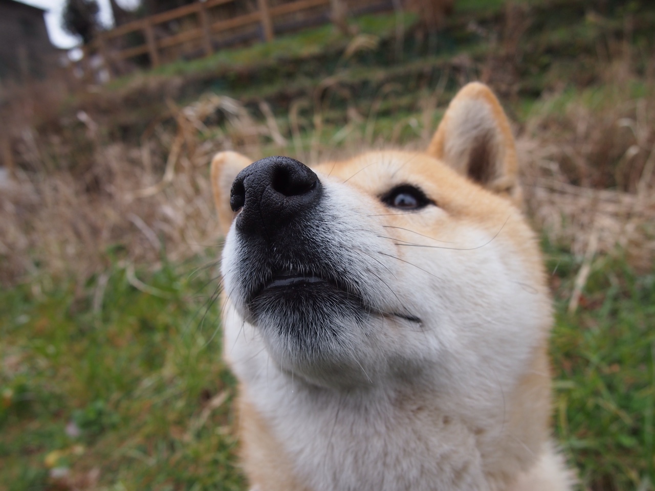 爱游戏娱乐平台-西班牙人遭逆转惨败，保级形势岌岌可危，西班牙人什么级别联赛