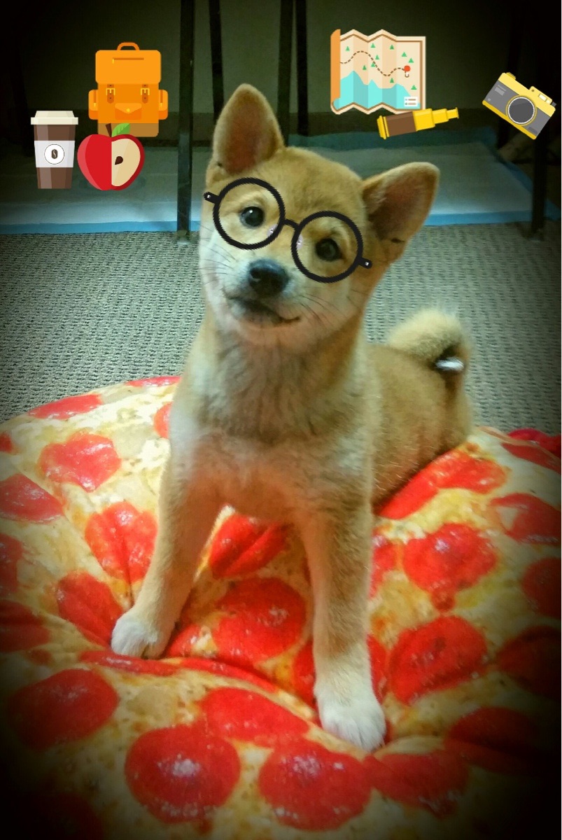 中超俱乐部商业运作数据整理,中超俱乐部的收入构成,绝大多数收入来自商业赞助,比