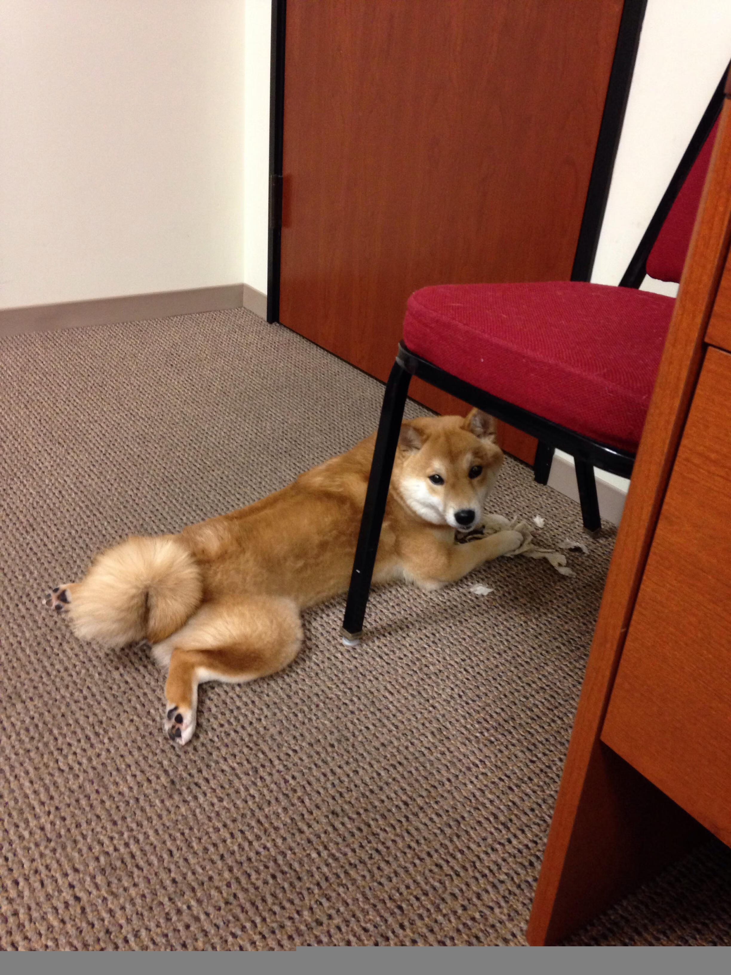 爱游戏体育平台-法甲球队采用机器学习预测对手进攻趋势的案例，法甲预测分析