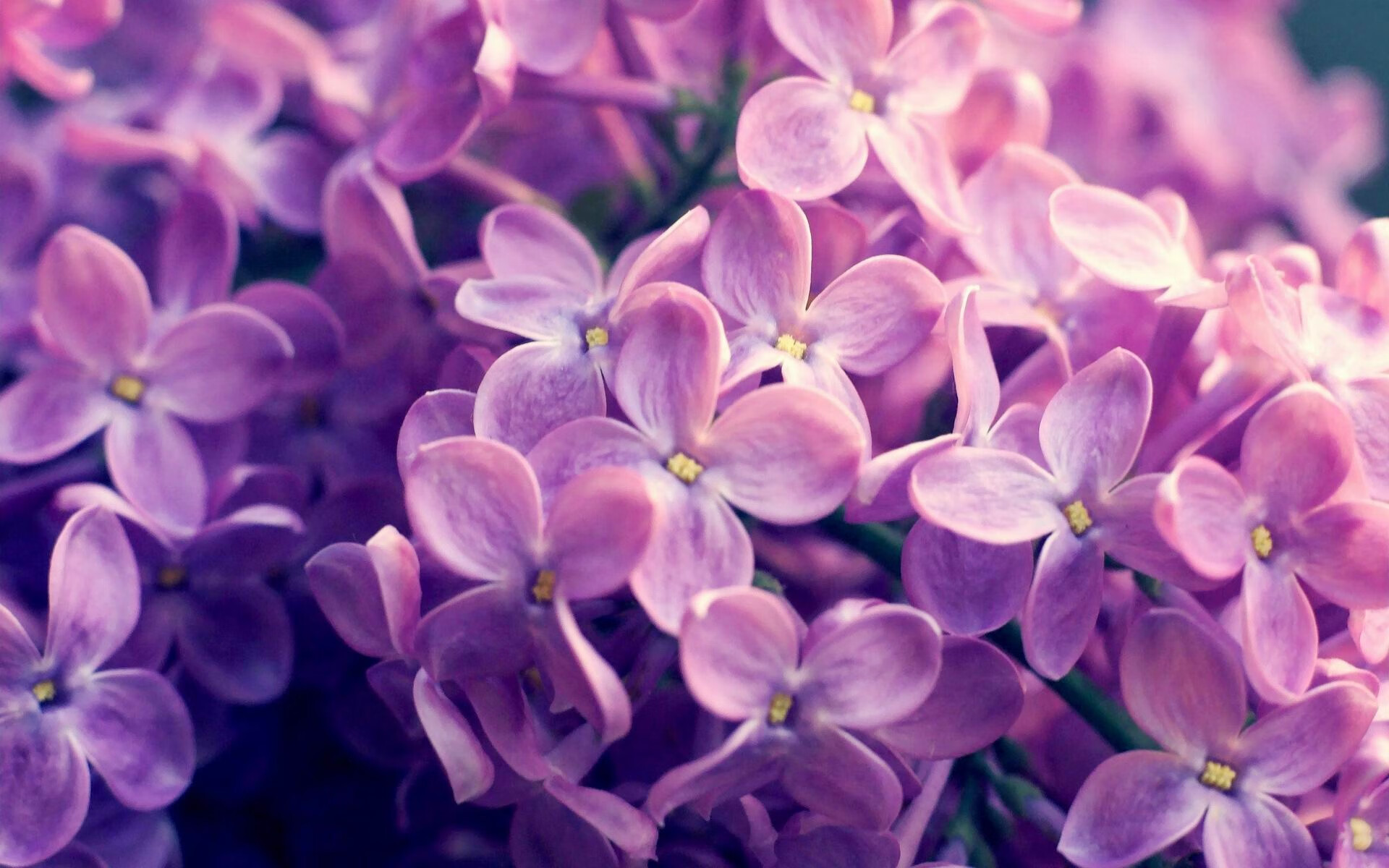 “高新体育中心:沙滩排球赛事燃起热潮,选手拼劲力”