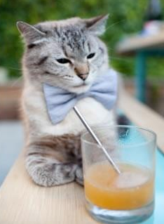 全国越野滑雪挑战赛多地同步开滑,越野滑雪比赛分别