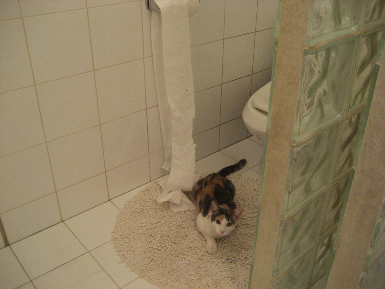 校园篮球课程为何缺乏系统化衔接，学校篮球课程开展