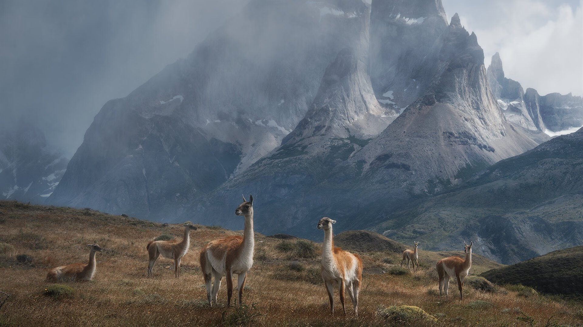 尤文图斯引援成功,中场实力明显增强