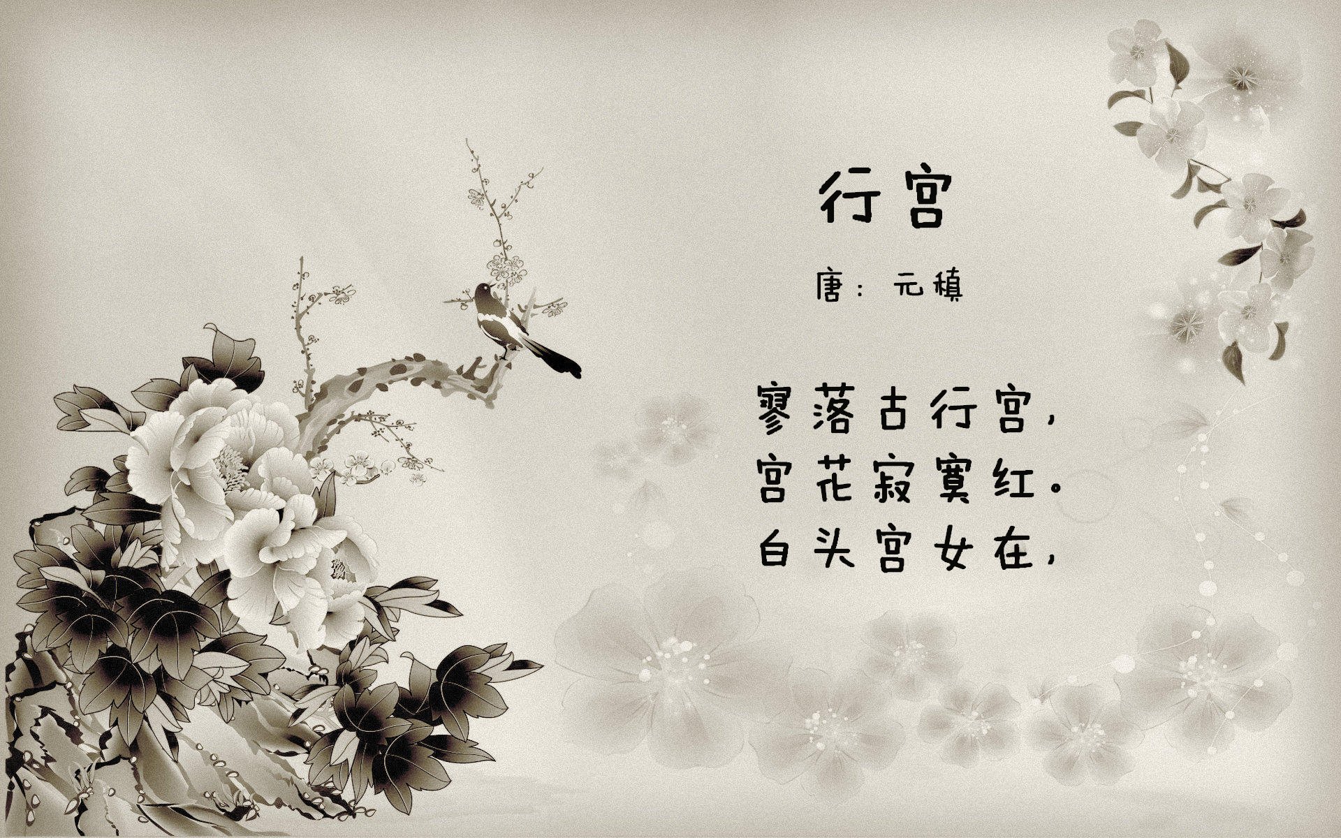 意甲快节奏:速度与技巧的完美结合!,意甲速度榜