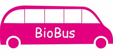 爱游戏中国官方登录入口网站-意甲联赛的绿色可持续发展，意甲联赛啥意思