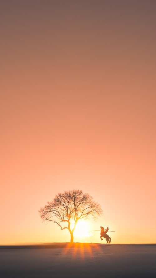 爱游戏娱乐-立陶宛女篮在欧洲锦标赛中挺进决赛，传统强队再续辉煌，立陶宛女篮 日历