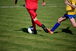 AYX体育官网-国际足球俱乐部青训论坛在广州召开，国际足联青训补偿标准